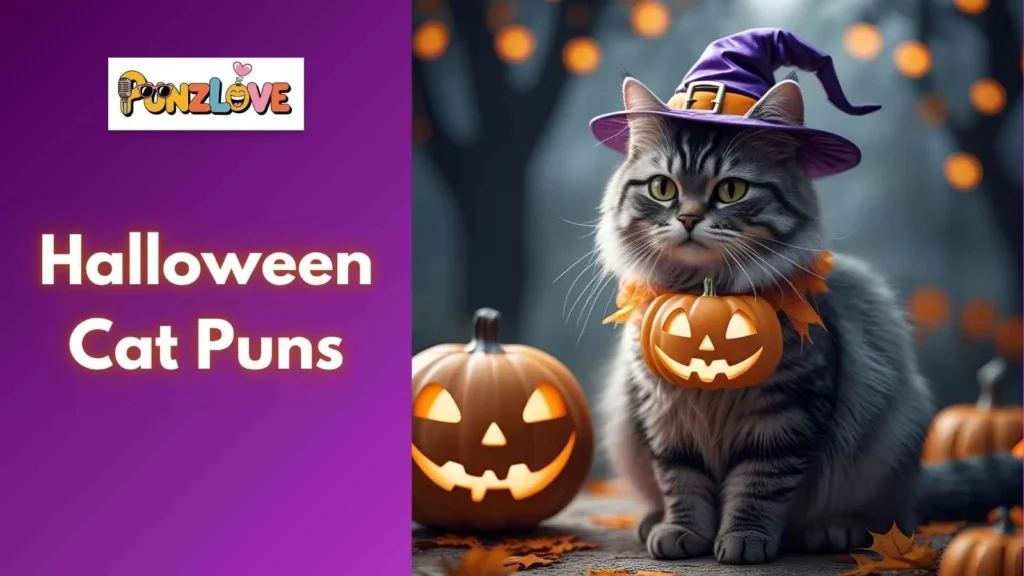 Social media cat puns