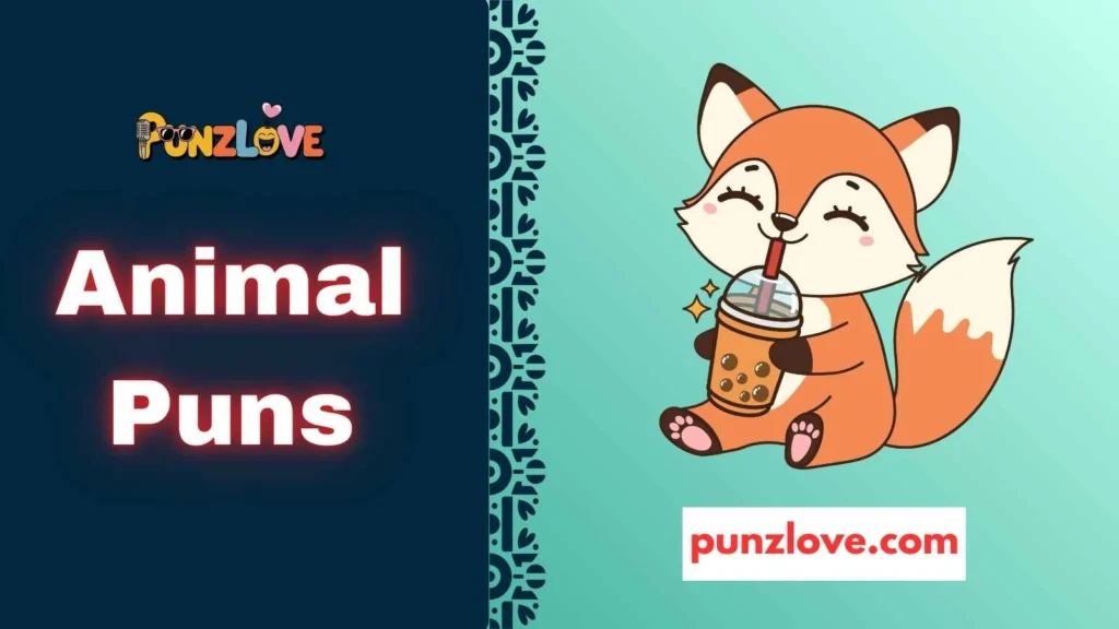 Foxy Fun