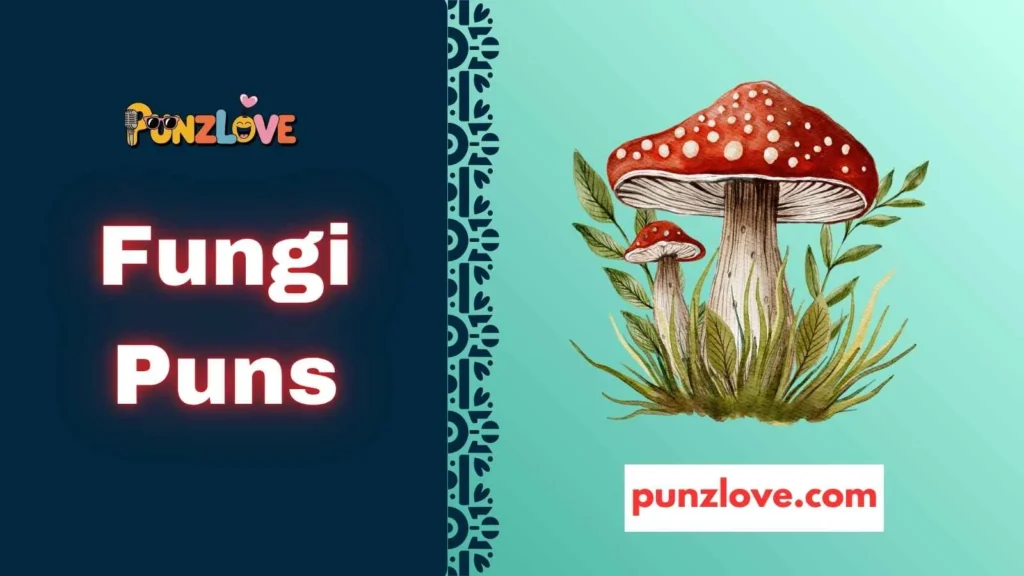 fungi pun basics
