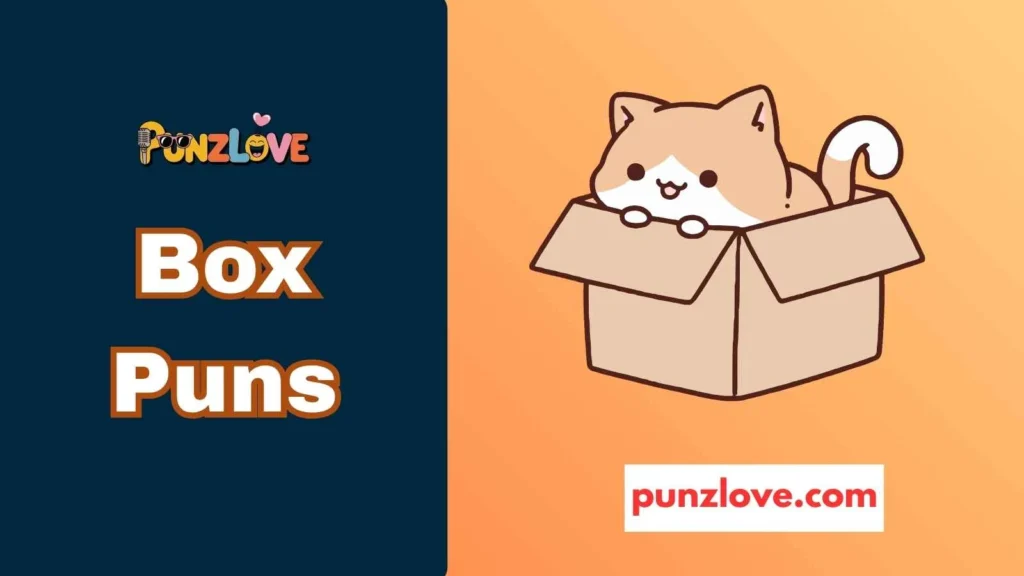 Funny Box Puns
