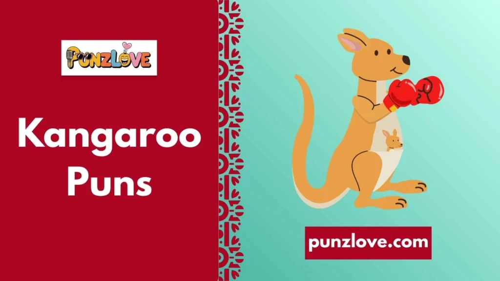 Funny Kangaroo Puns