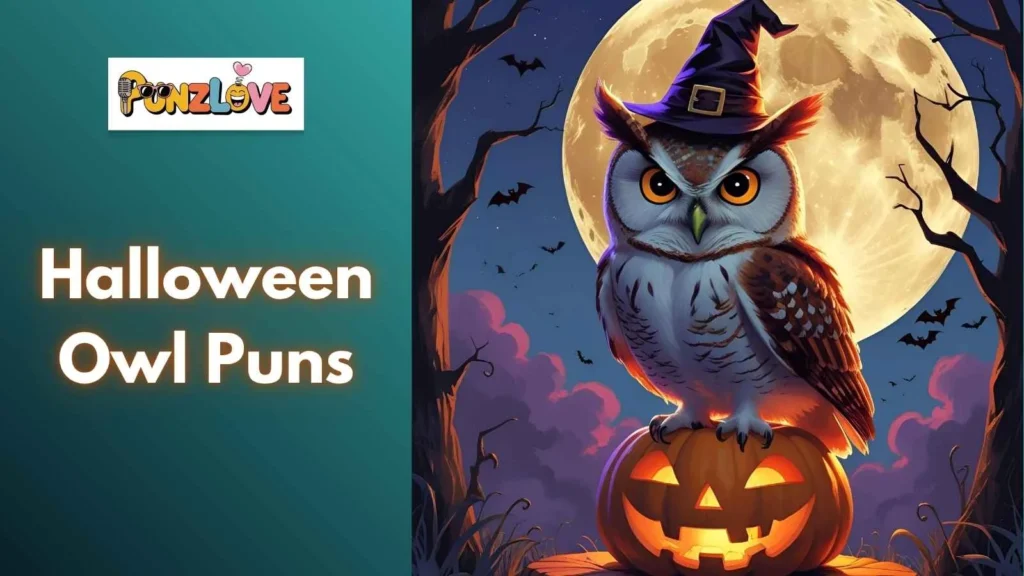 Funny Owl Puns