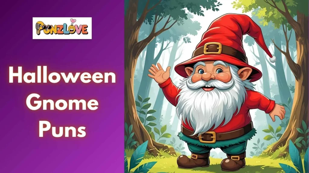 Gnome Costume
