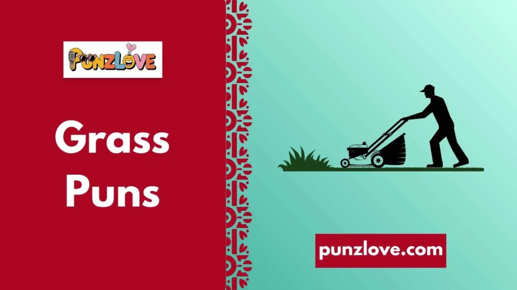 Grass Puns for Lawn Lovers