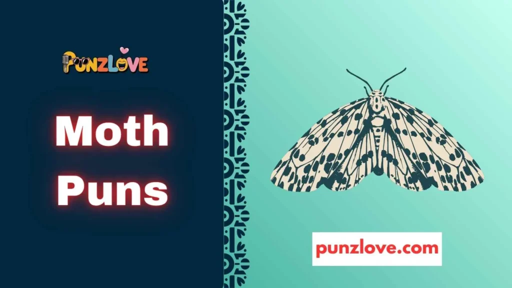Instagram Moth Captions