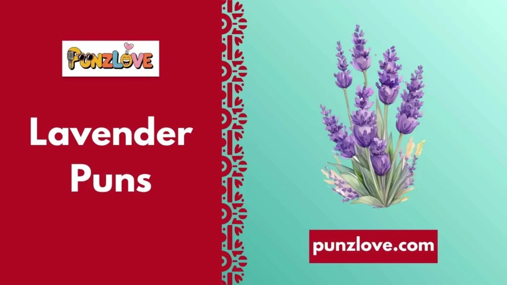 Lavender One Liners