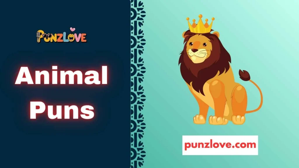 Lion Around
