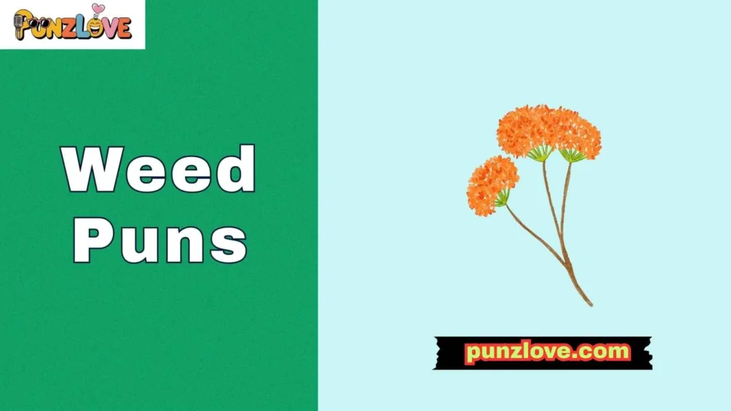 Cool Weed Puns