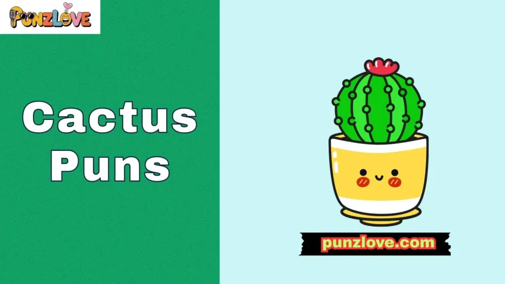 Cute cactus puns