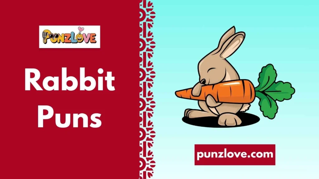 Cute Rabbit Puns