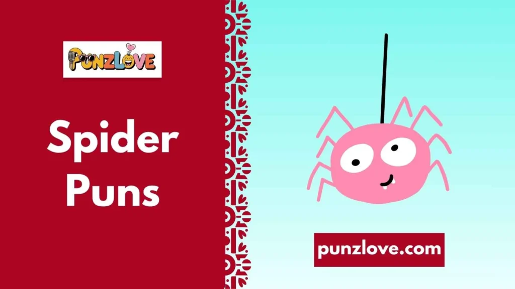 Cute Spider Puns