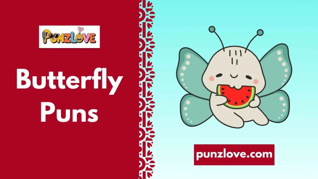 Funny Butterfly Puns