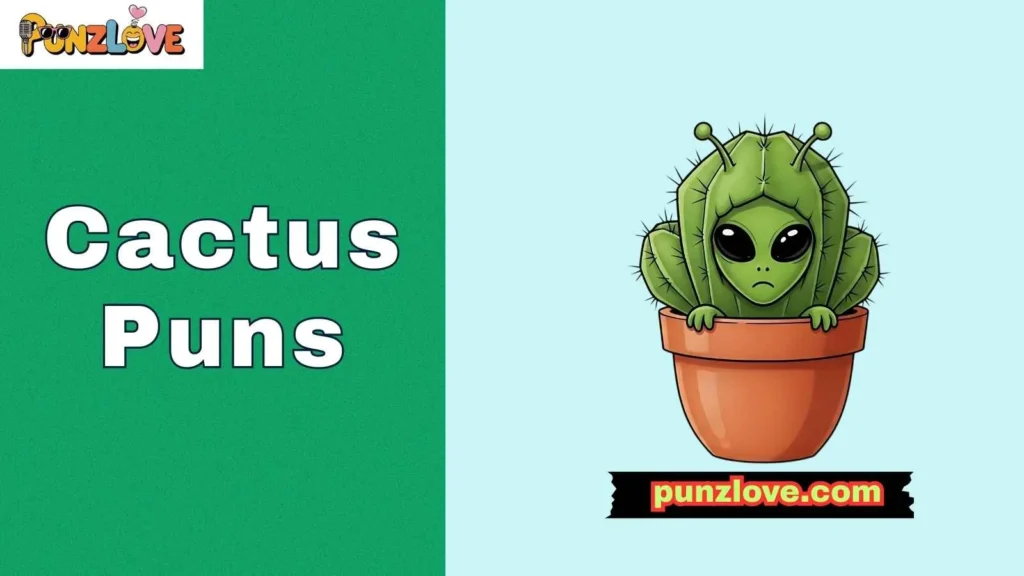Funny cactus puns