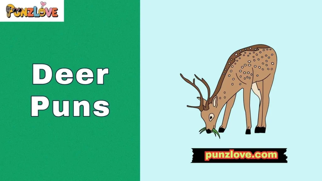 Funny deer puns