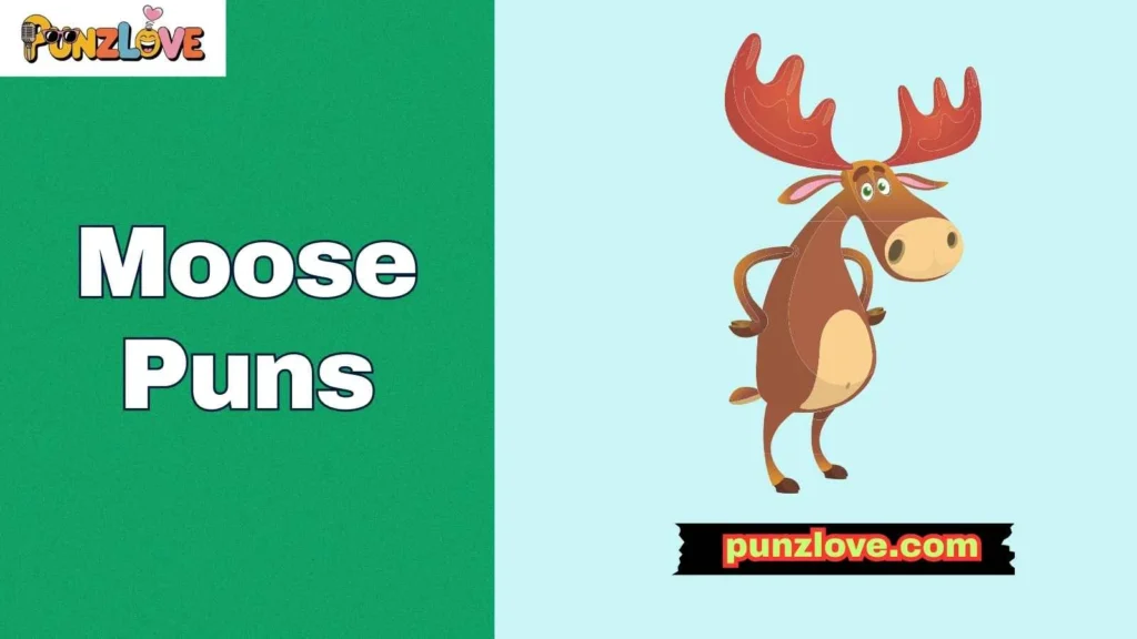 Funny Moose Puns