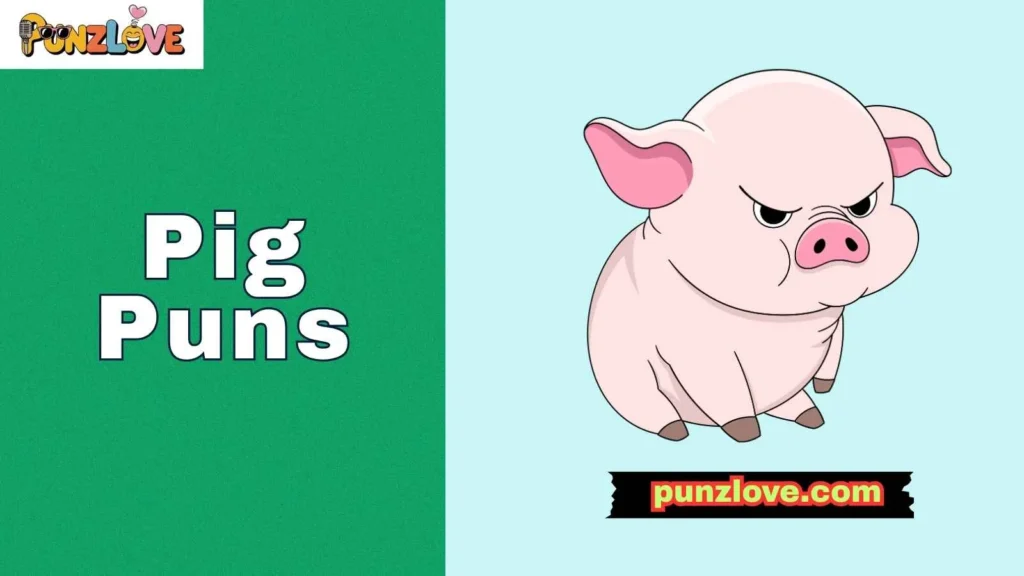 Funny Pig Puns