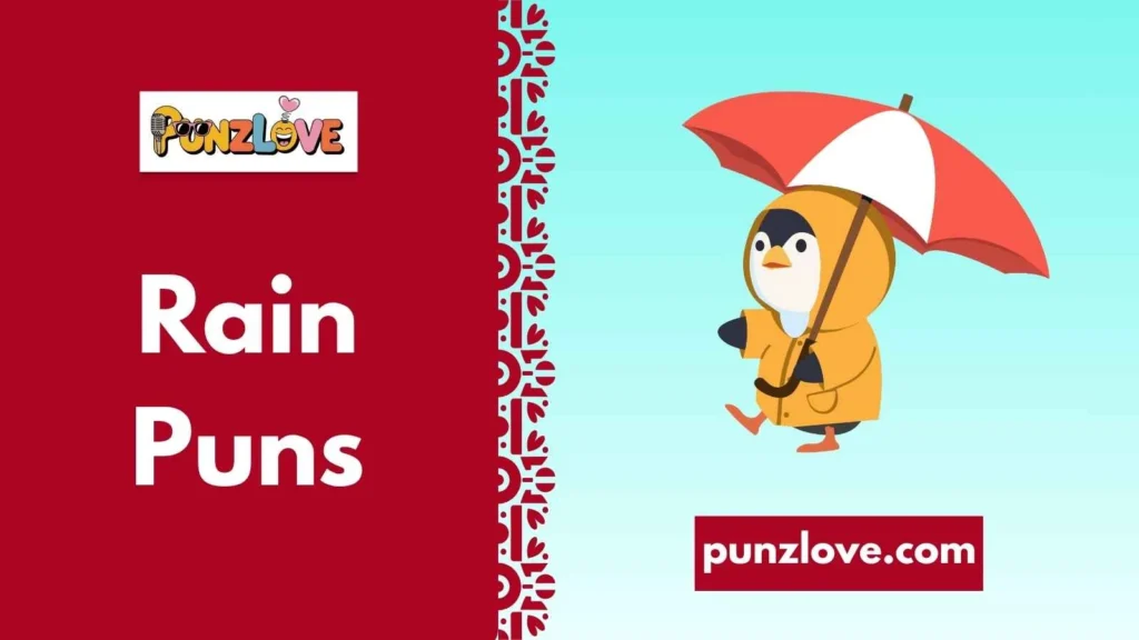 Funny Rain Puns