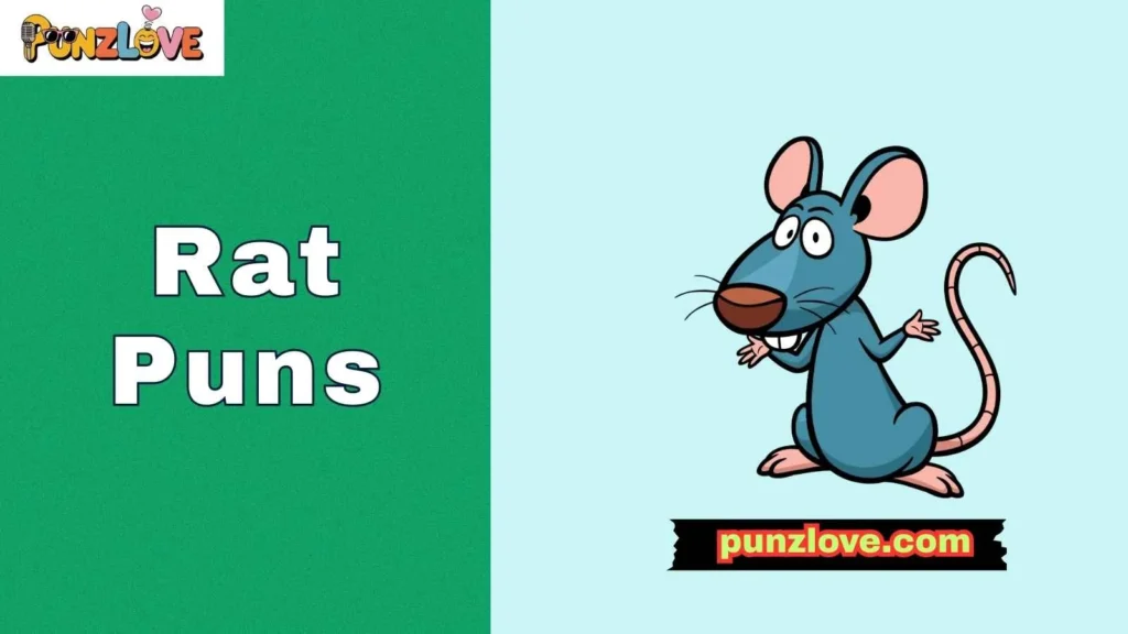 Funny Rat Puns