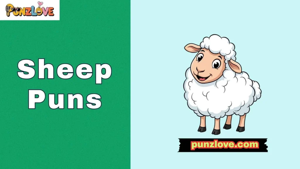 Funny sheep puns