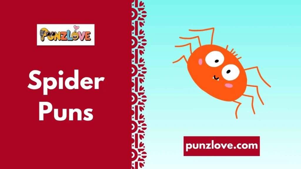 Funny Spider Puns