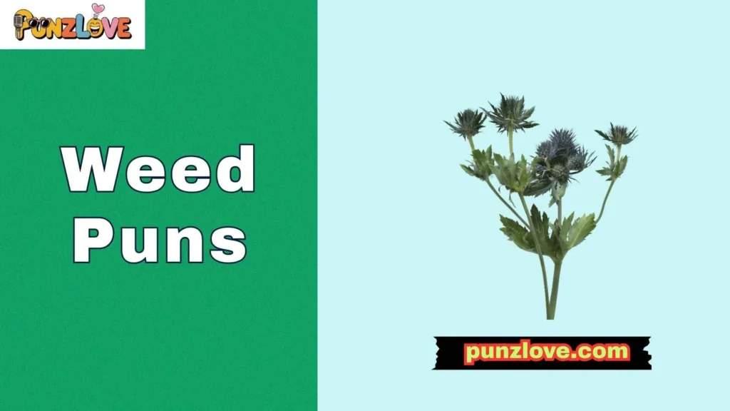 Funny Weed Puns