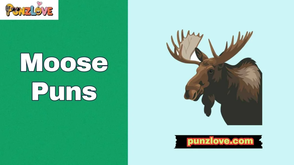 Moose Puns Perfect