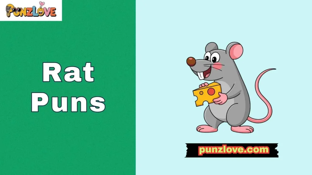 Rat Puns About Cheese