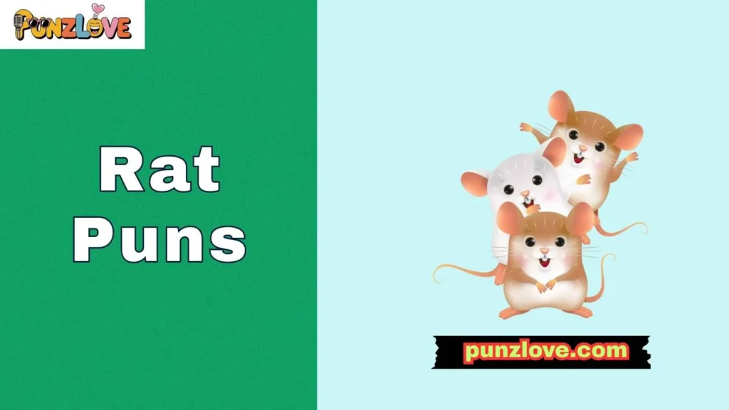 Rat Puns for Friends