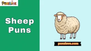 Sheep Puns