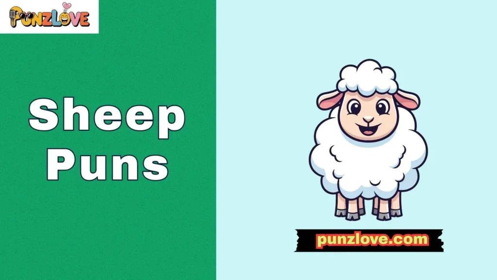 Sheep puns for love