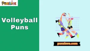Volleyball Puns