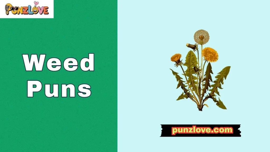 Weed Puns for Birthdays