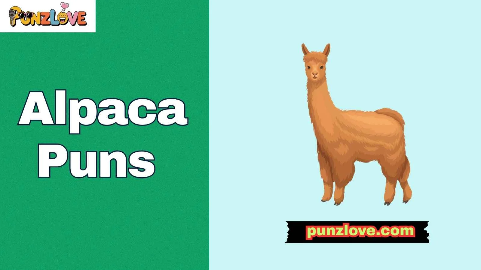 Alpaca Puns
