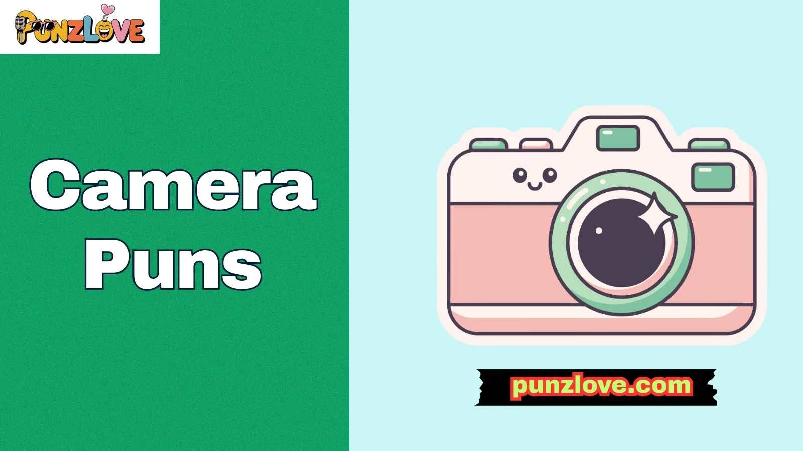 Camera Puns