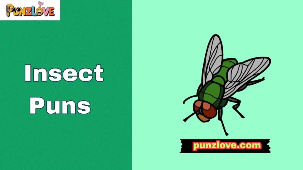 Fly Puns