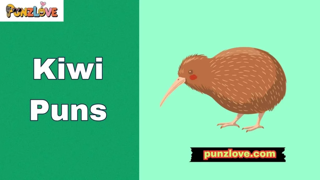 Kiwi Bird Puns
