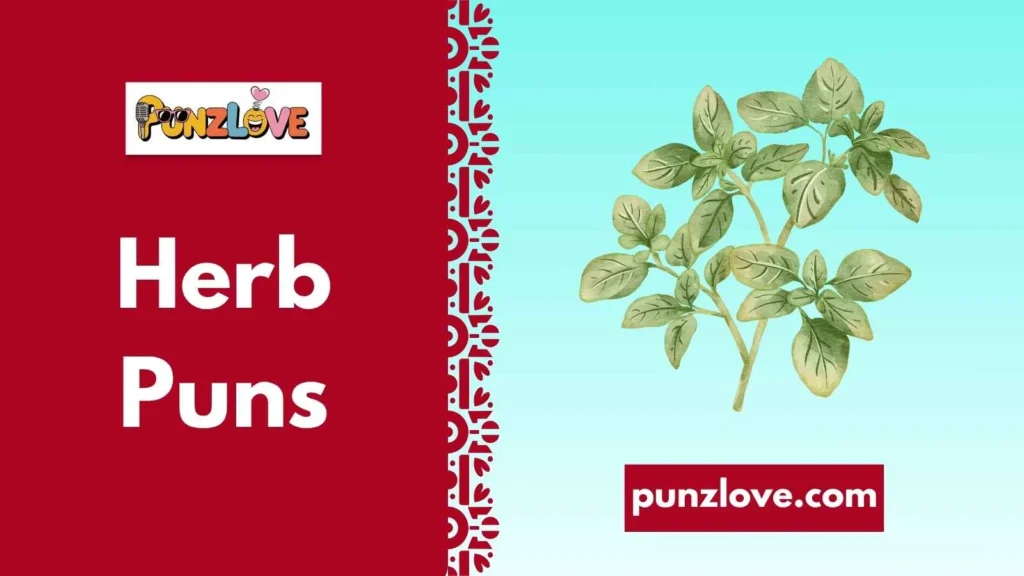 Oregano Puns