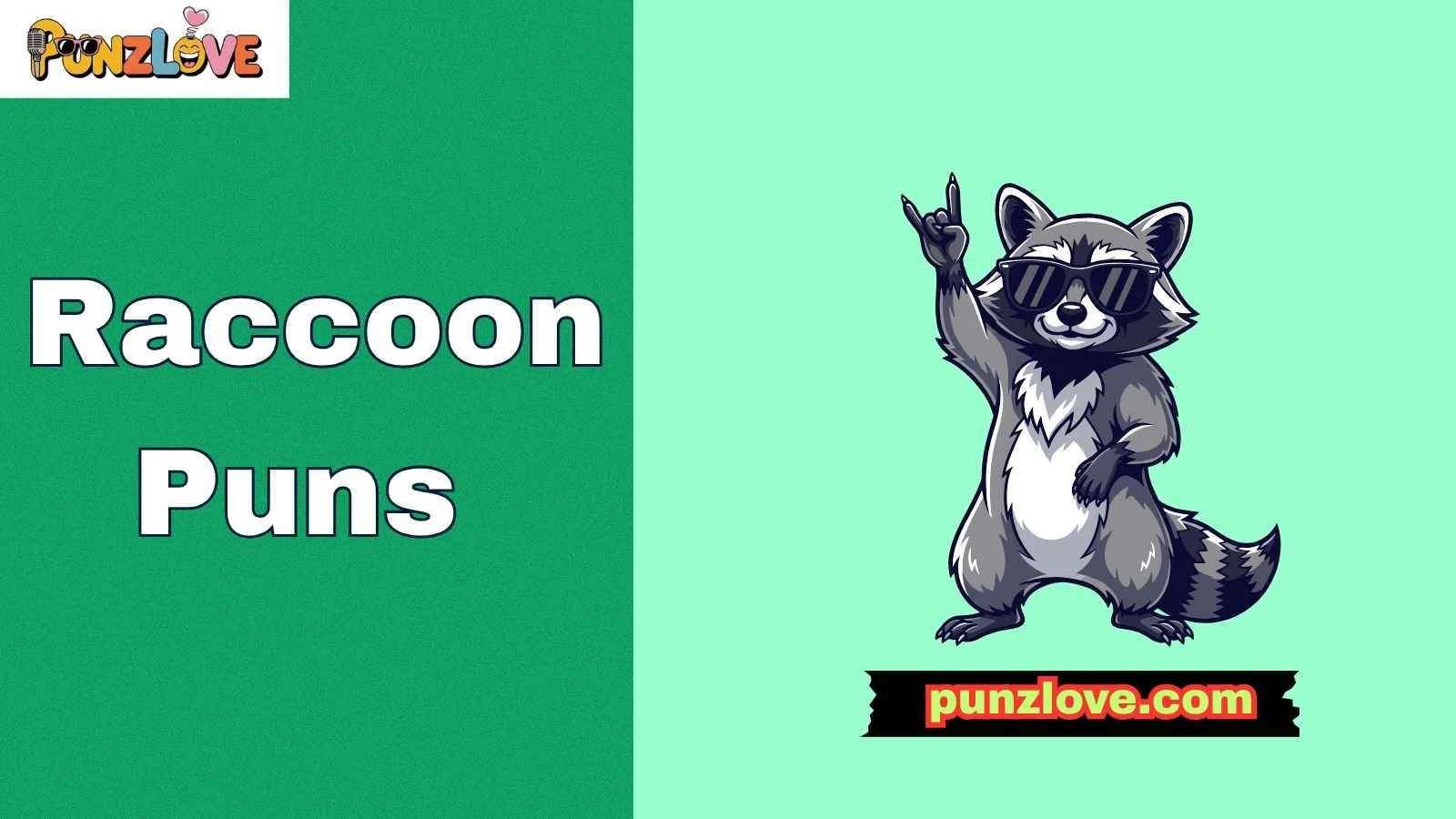 Raccoon Puns